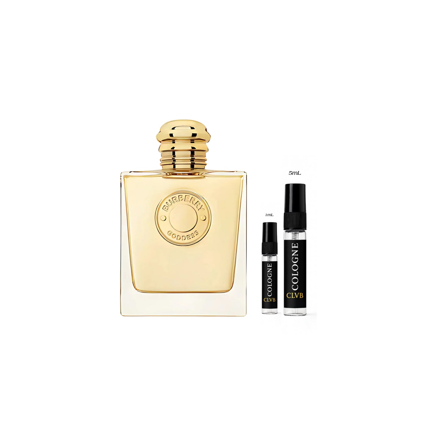 Women's Fall Sample Set