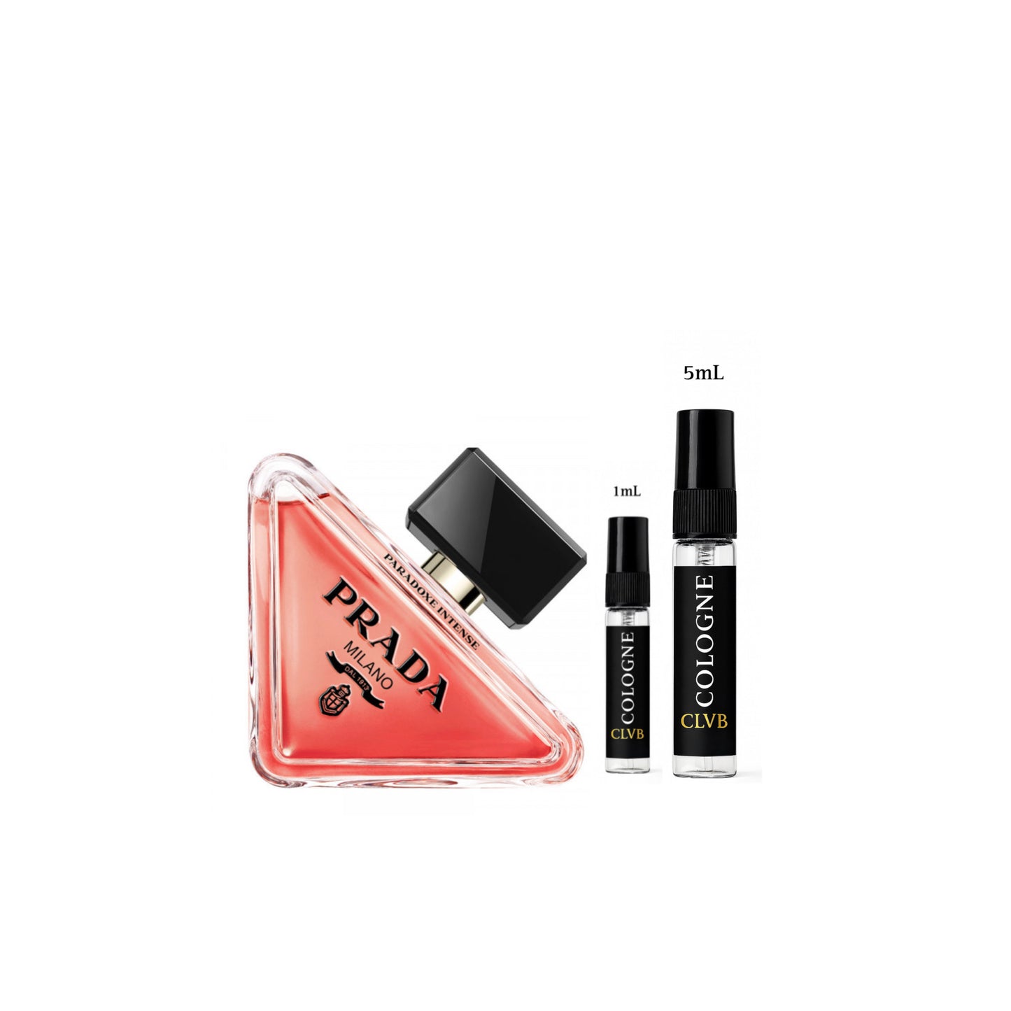 Women's Fall Sample Set