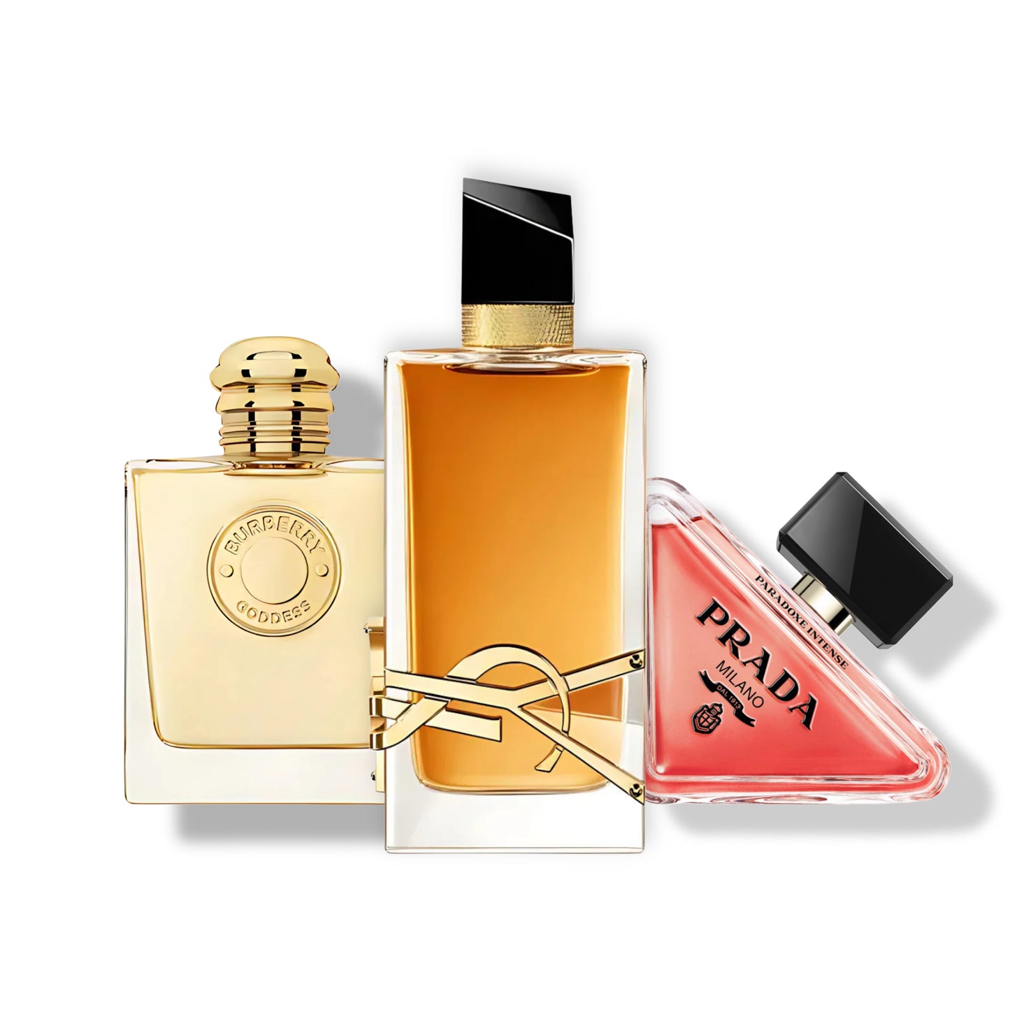 Women's Fall Sample Set